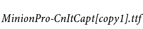 MinionPro-CnItCapt[copy1]